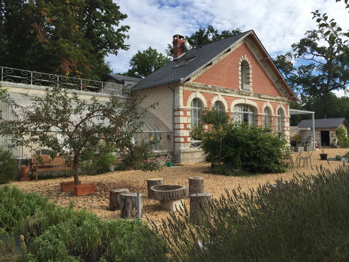 L'Orangerie "The Orangery" Du Parc Des Nouies Villa Selles-sur-Cher Kültér fotó